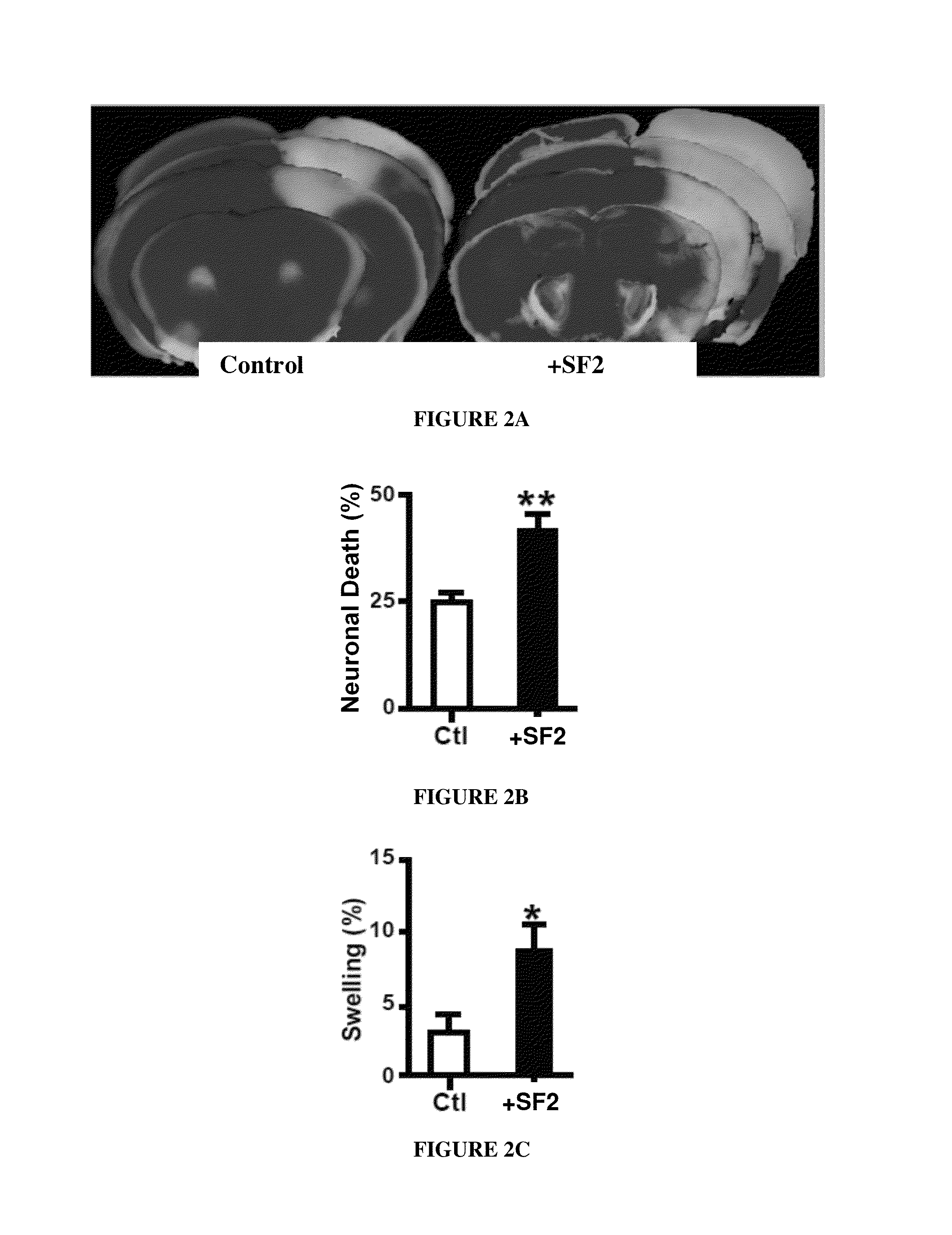 Serpinf2-Binding Molecules and Method of Use Thereof