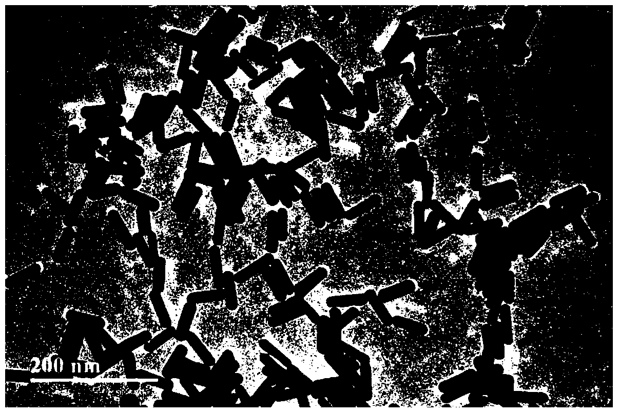 A kind of active substrate with surface-enhanced Raman effect and its preparation method and application