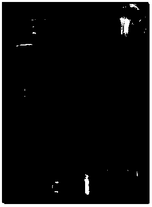 Preparation method of high-quality agarose