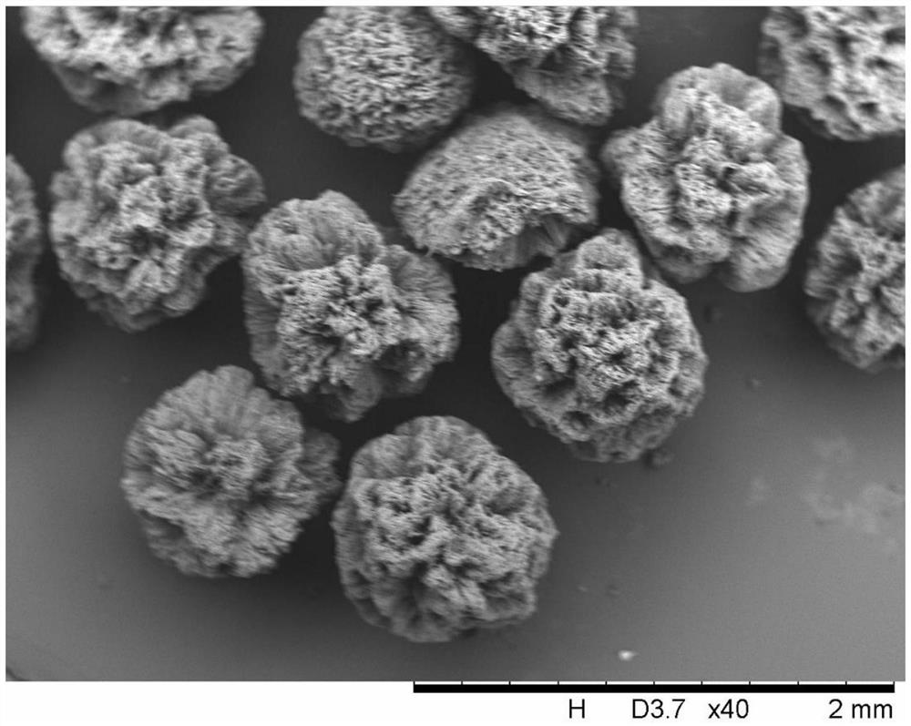 Preparation method of sodium percarbonate