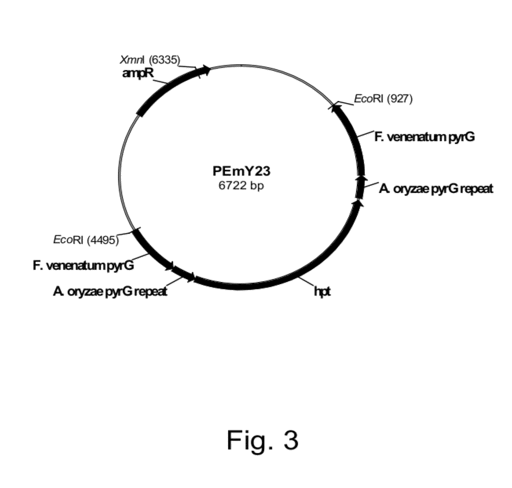 Methods for Producing Polypeptidies in Protease-Deficient Mutants of Trichoderma