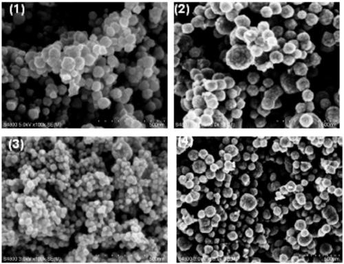 Photocatalytic nitrogen-fixation Zn-doped indium oxide photocatalyst material as well as preparation method and application thereof