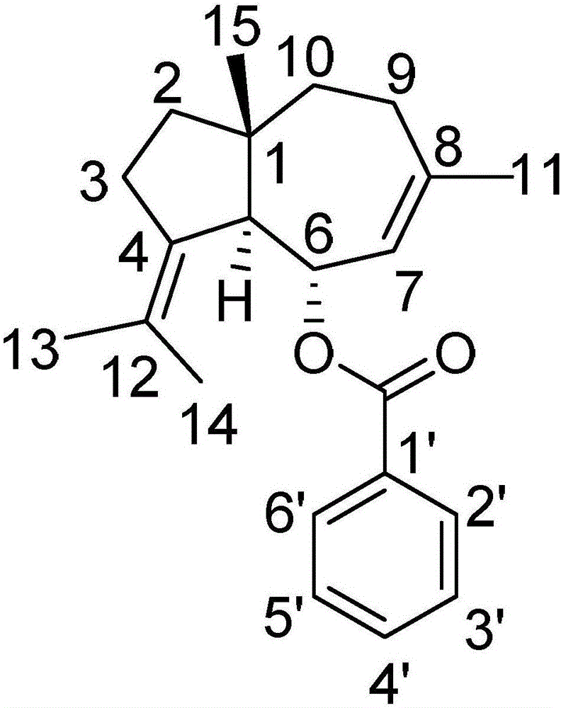 Applications of compound and cefoperazone pharmaceutical composition in preparing drugs used for treating periodontitis