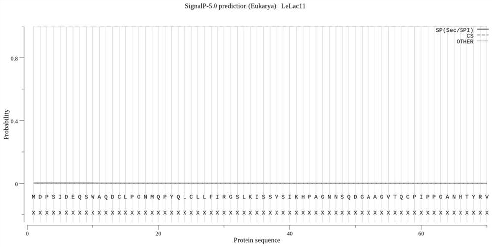 Lentinus edodes laccase lelac11 and its application in improving microbial stress tolerance
