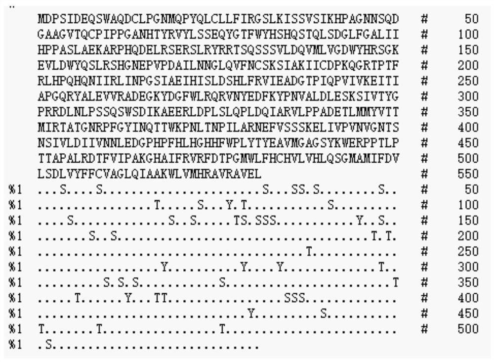 Lentinus edodes laccase lelac11 and its application in improving microbial stress tolerance