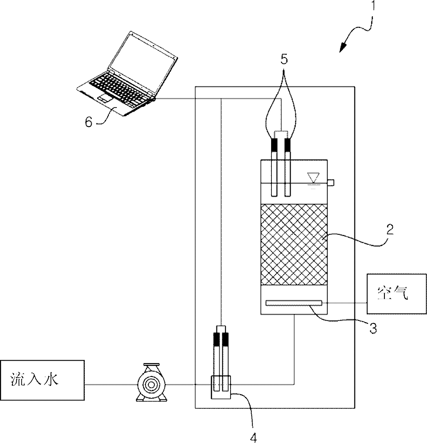 Ecotoxicity detector using sulfated microorganisms