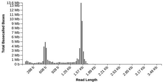 Primer combination for nanopore sequencing library building of respiratory pathogens and application of primer combination