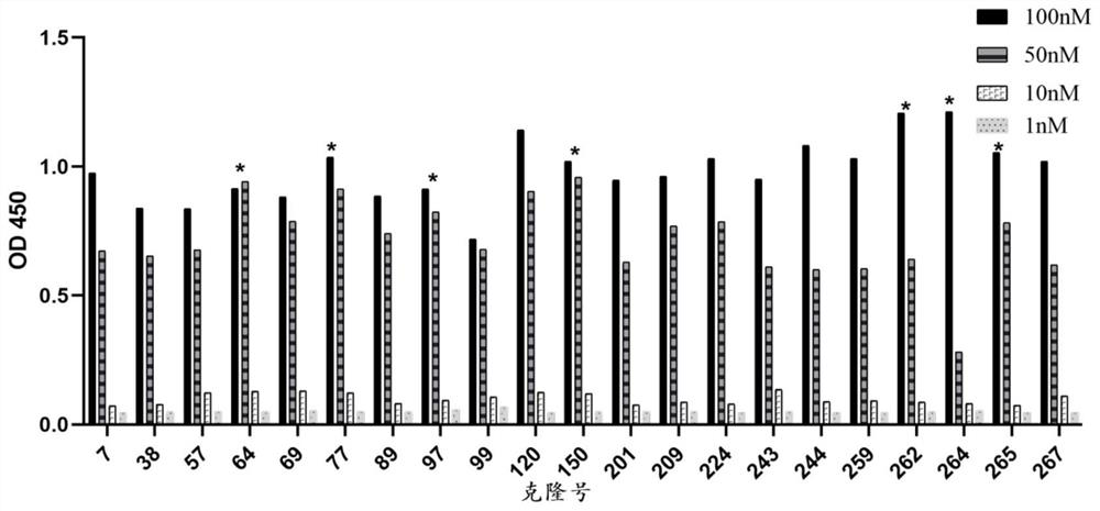 Anti-HER2/anti-PD-L1 bifunctional antibody and application thereof