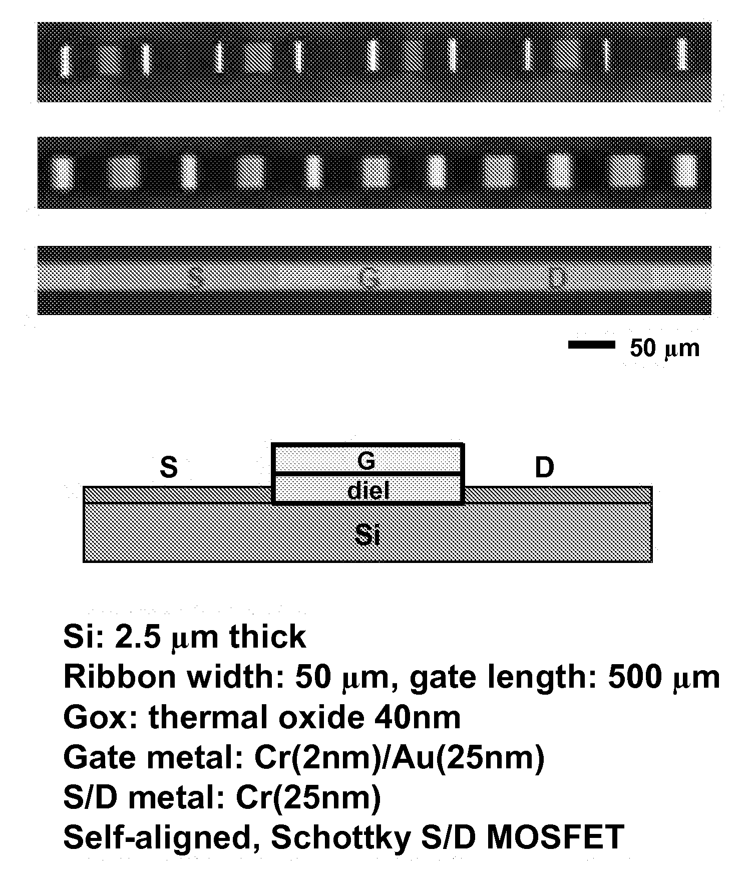 Stretchable Form of Single Crystal Silicon for High Performance Electronics on Rubber Substrates