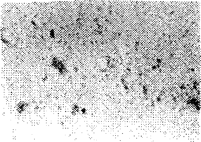 Production process of hard toffee with high milk content