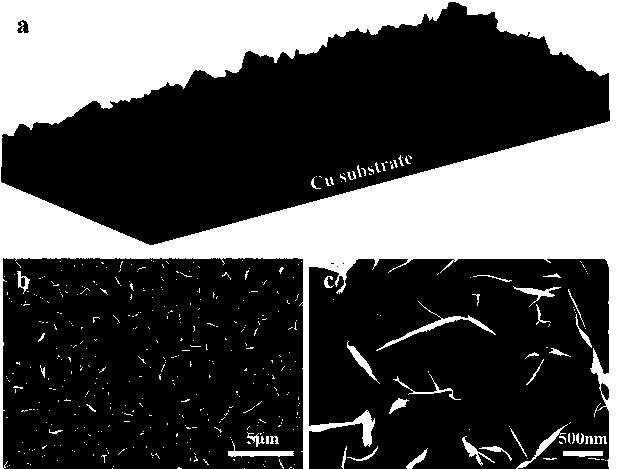 Method for constructing super-hydrophobic coating on surface of copper alloy in situ