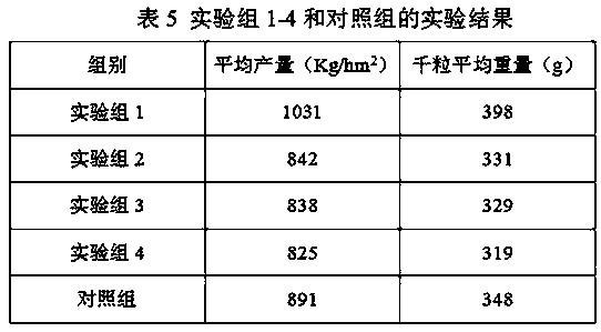 Compound microbial fertilizer for reducing fertilizer and improving effects and preparation method thereof