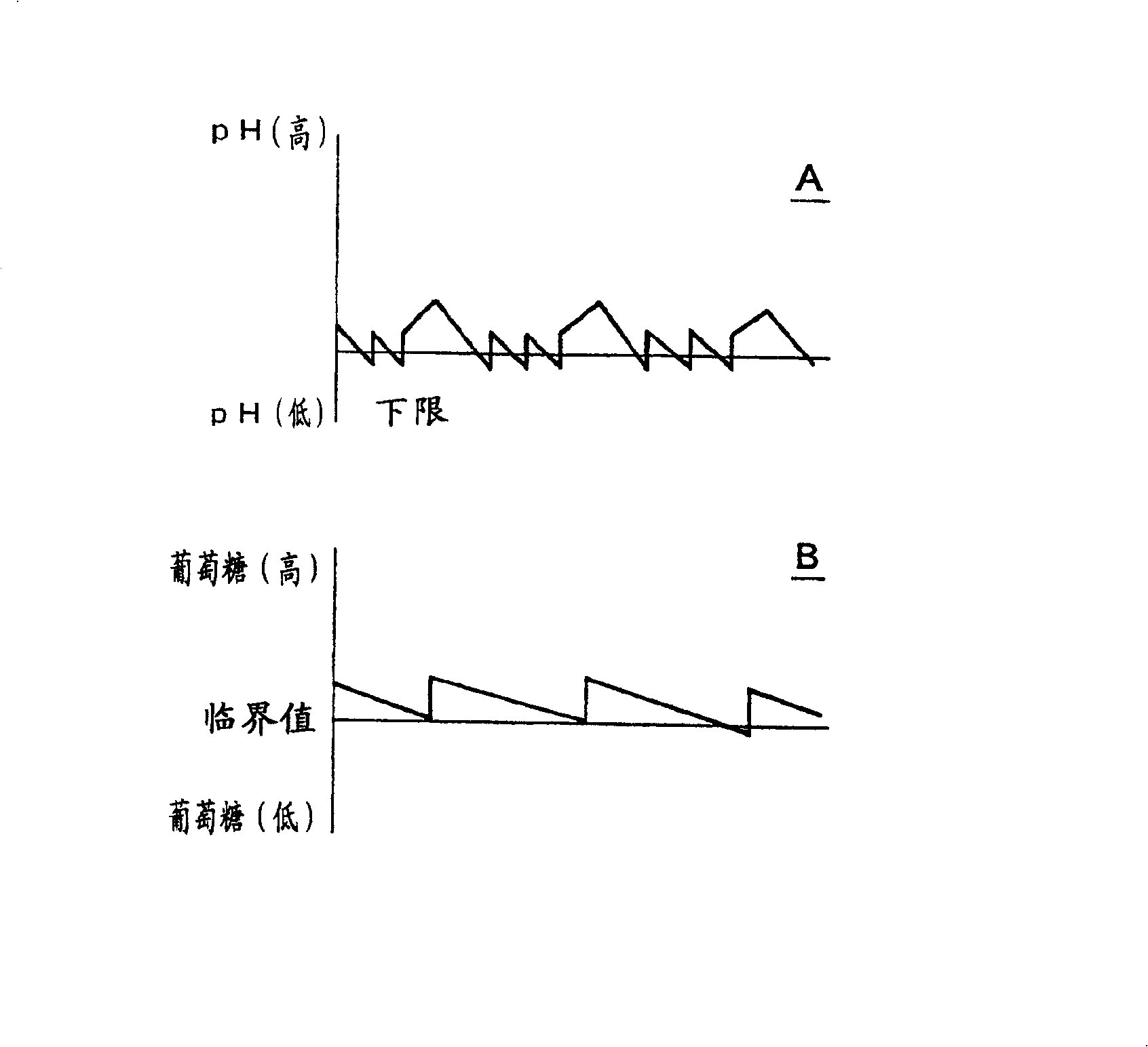 Method of continuous culture of anaerobic bacterium