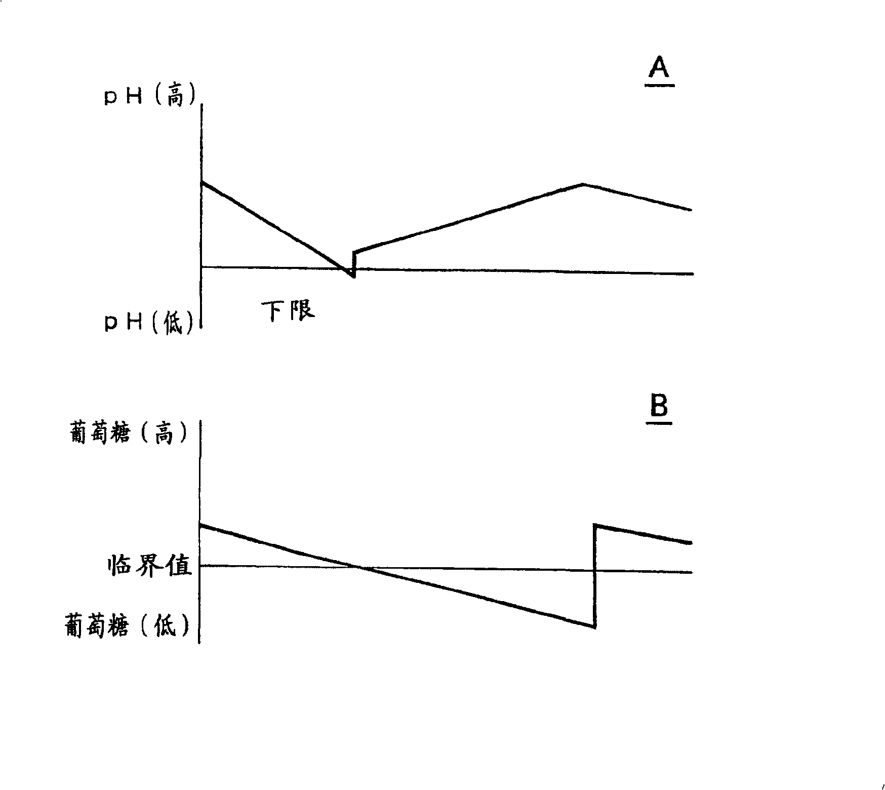 Method of continuous culture of anaerobic bacterium