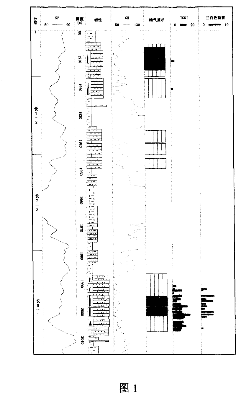 Method for recognizing oil layer by using petroleum inclusion and pitch and migration tracing