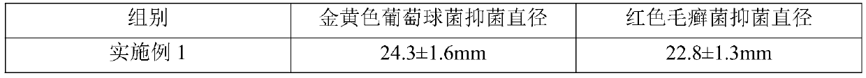 Medicinal tea for footbath and preparation method and application thereof