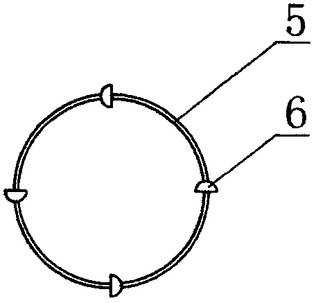 Wind self-cleaning type composite insulator