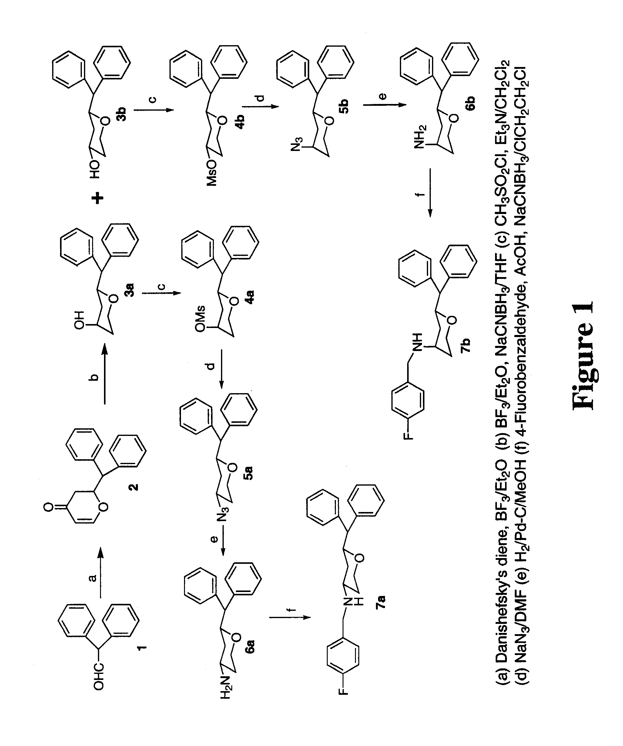 Tri-substituted 2-benzhydryl-5-benzylamino-tetrahydro-pyran-4-ol and 6-benzhydryl-4-benzylamino-tetrahydro-pyran-3-ol analogues, and novel, 3,6-disubstituted pyran derivatives