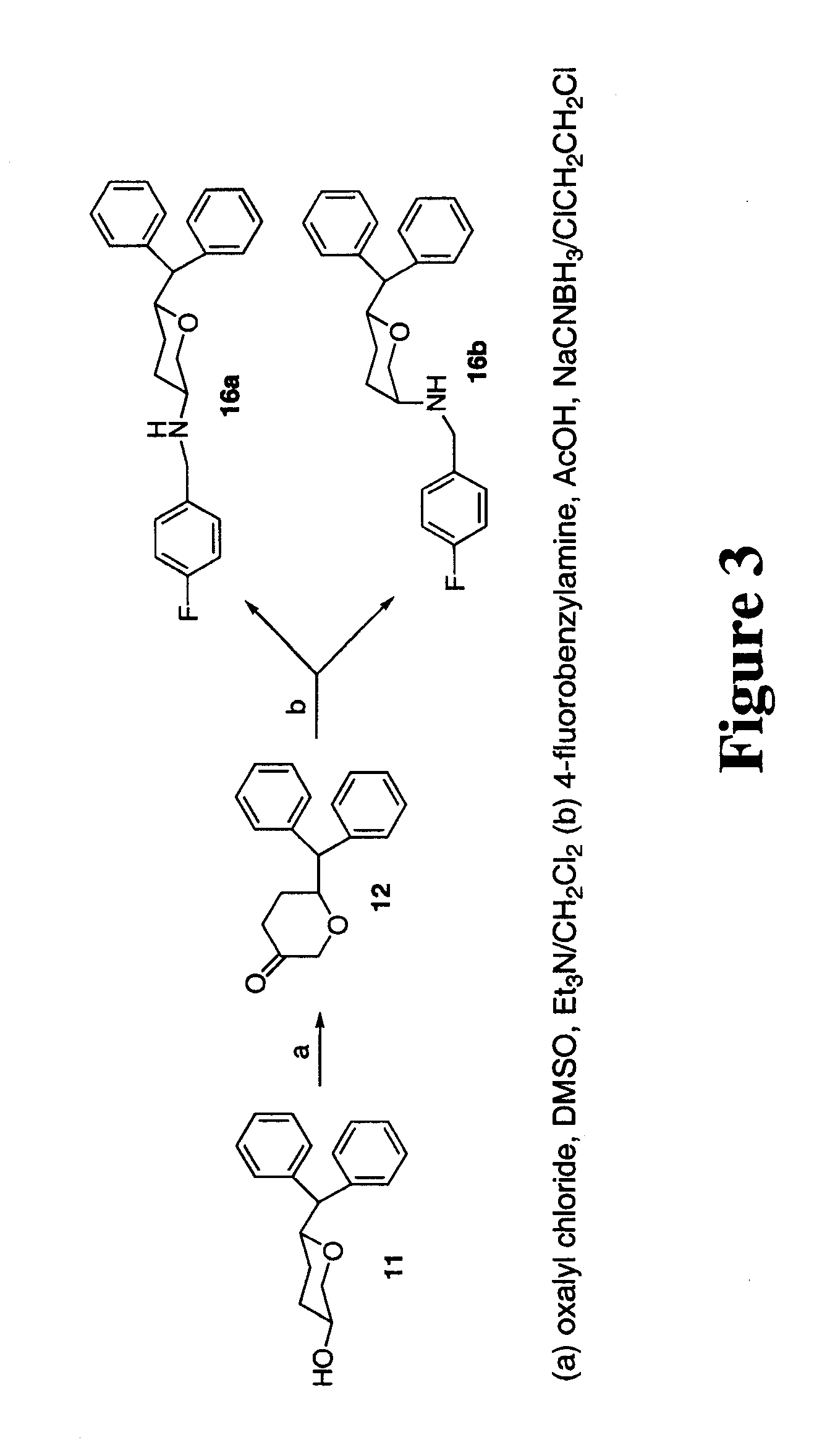Tri-substituted 2-benzhydryl-5-benzylamino-tetrahydro-pyran-4-ol and 6-benzhydryl-4-benzylamino-tetrahydro-pyran-3-ol analogues, and novel, 3,6-disubstituted pyran derivatives