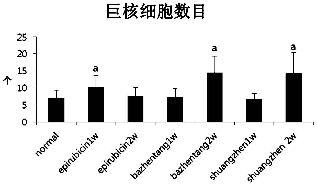 Dietary supplement ginseng and sea cucumber capsule for weak patients after illness and preparation method thereof