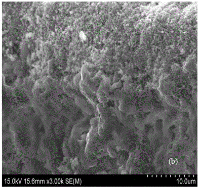 Method for coating Ti-based denitration catalyst on honeycomb ceramic