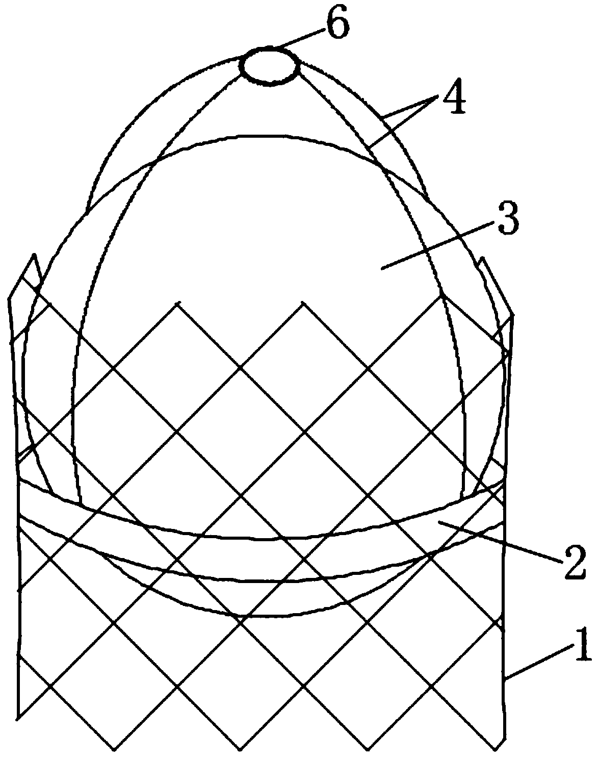 Interventional aortic valve stent system with inflating type ball bag