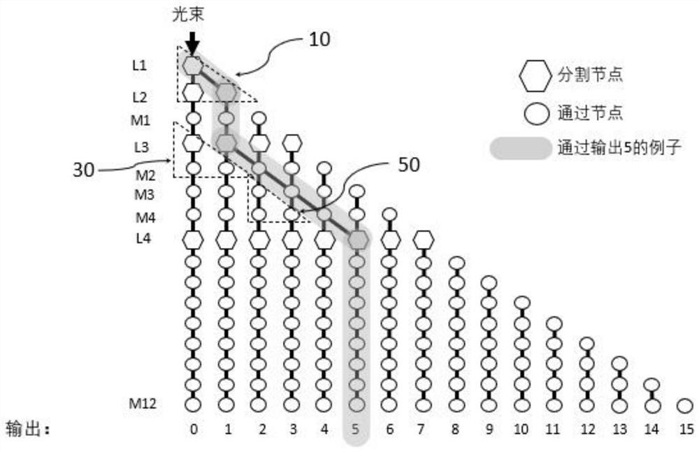 Method for predicting virus mutation probability based on photon chip