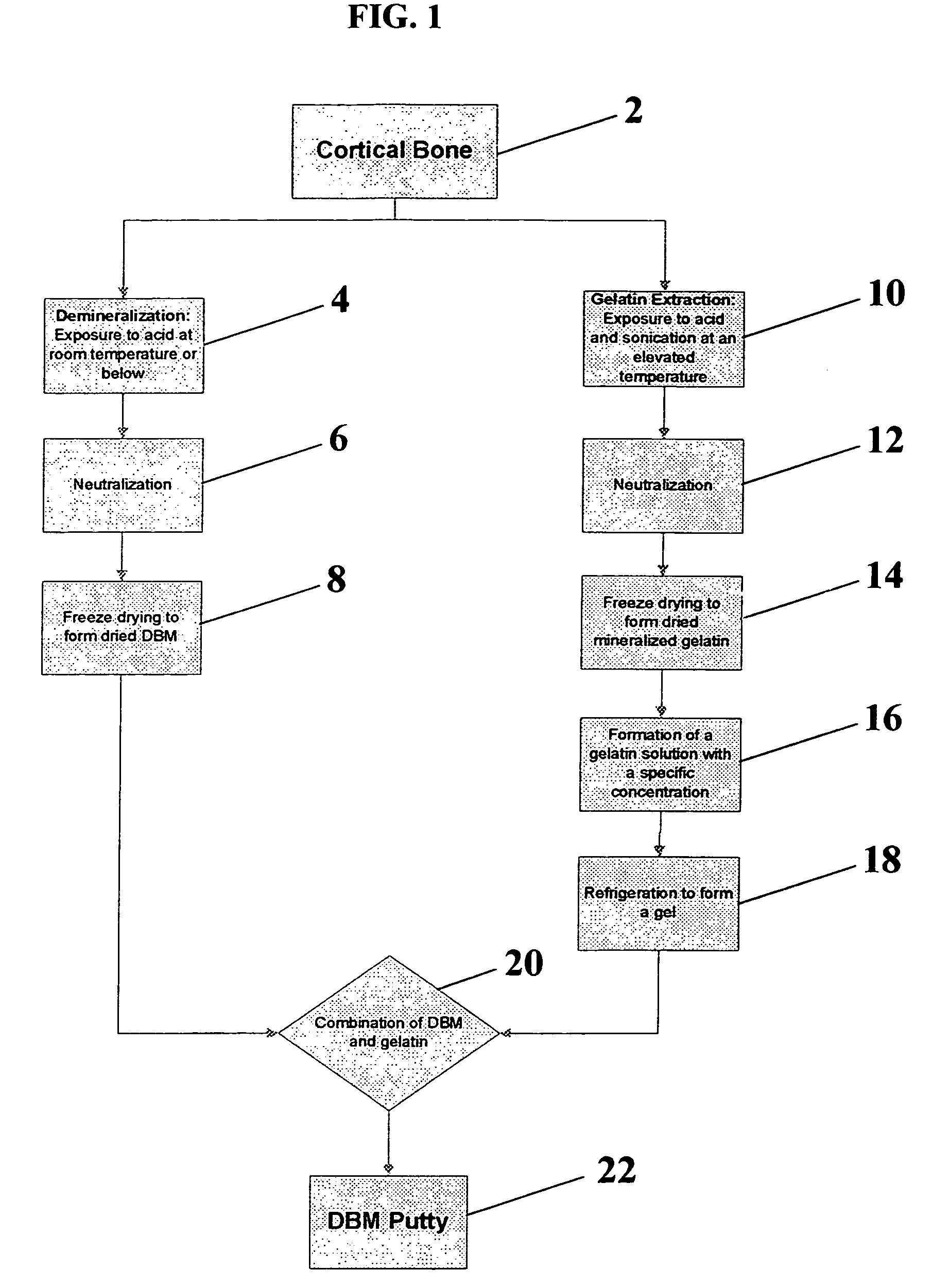 Bone graft materials derived from mineralized gelatin