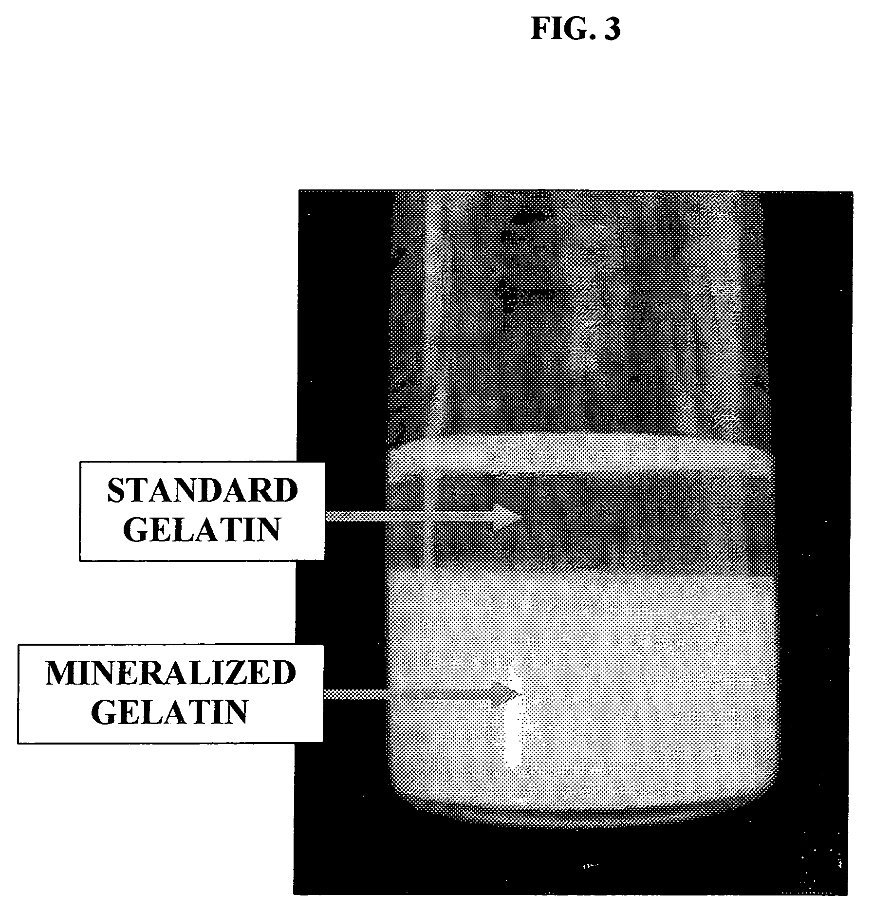 Bone graft materials derived from mineralized gelatin