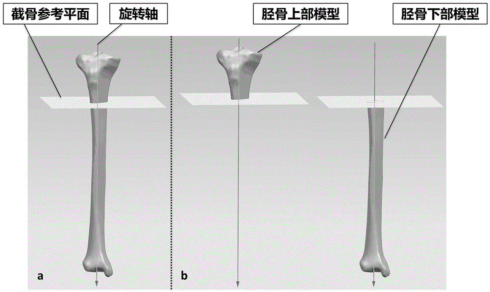 CT gray-material property assignment finite element modeling method used for osteotomy