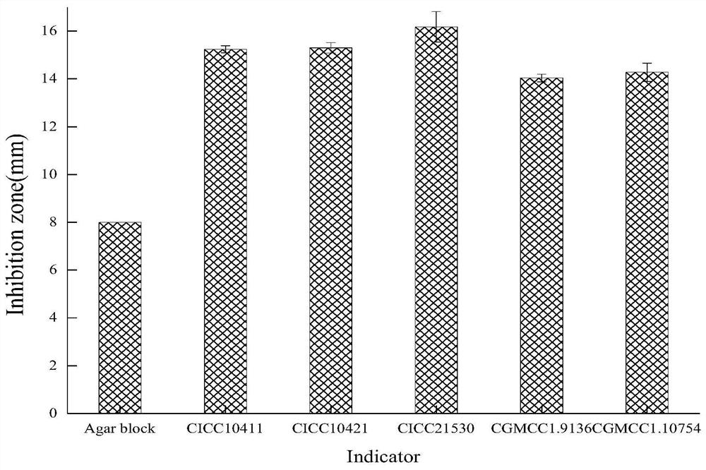 A kind of bacterial strain, bacterial agent and application