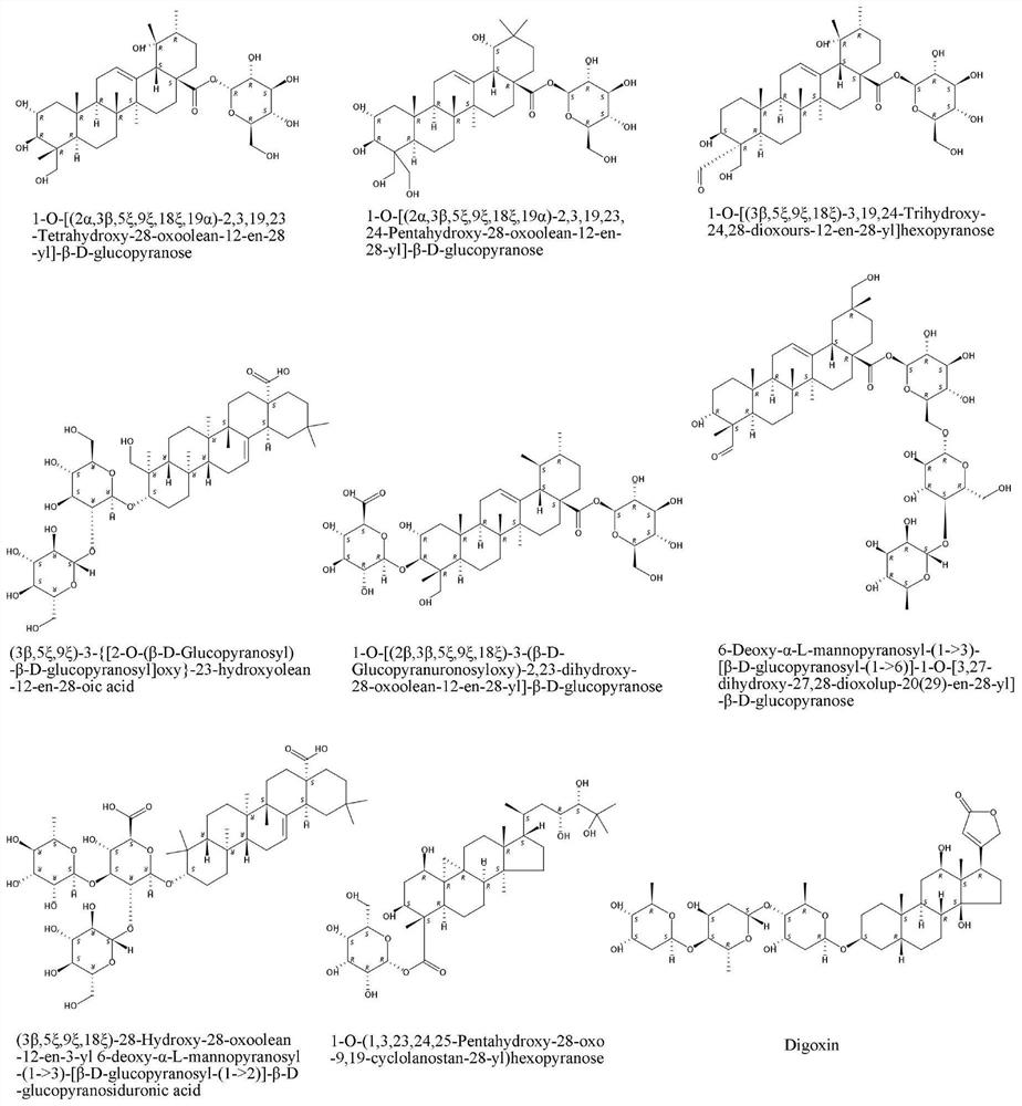 Total saponins of Yingbupu and its application in the preparation of drugs for treating restenosis after vascular injury