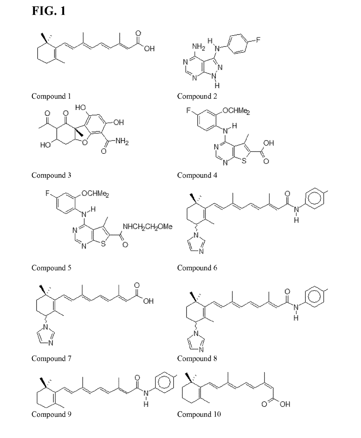 13-Cis-RAMBA RETINAMIDES THAT DEGRADE MNKs FOR TREATING CANCER