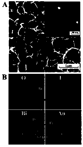 Multifunctional electrochemical sensor and preparation method thereof