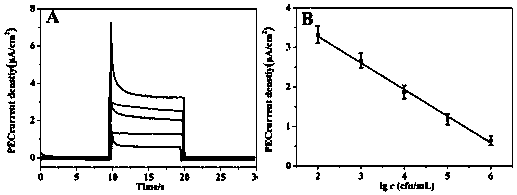 Multifunctional electrochemical sensor and preparation method thereof