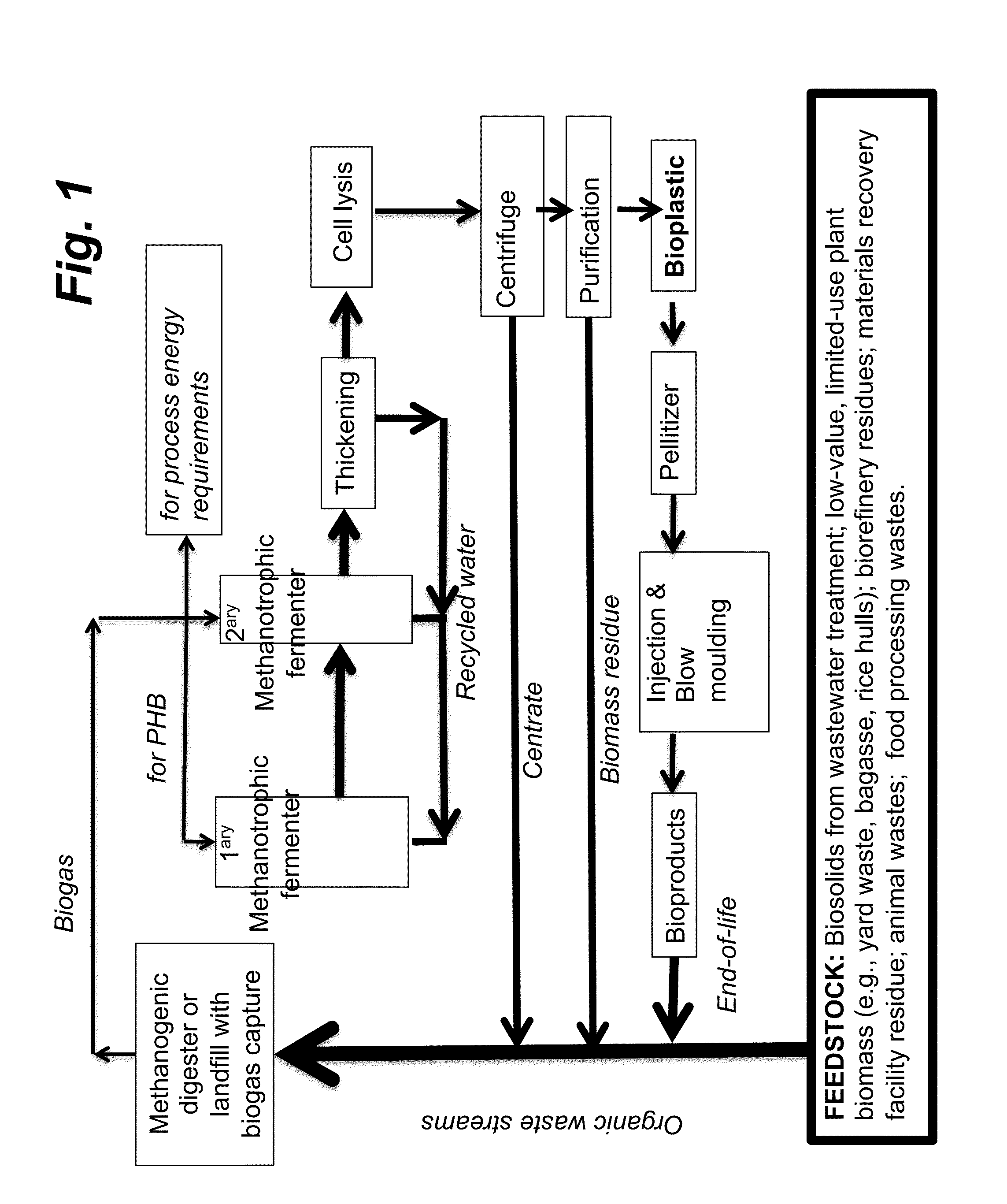 Production of PHA using Biogas as Feedstock and Power Source