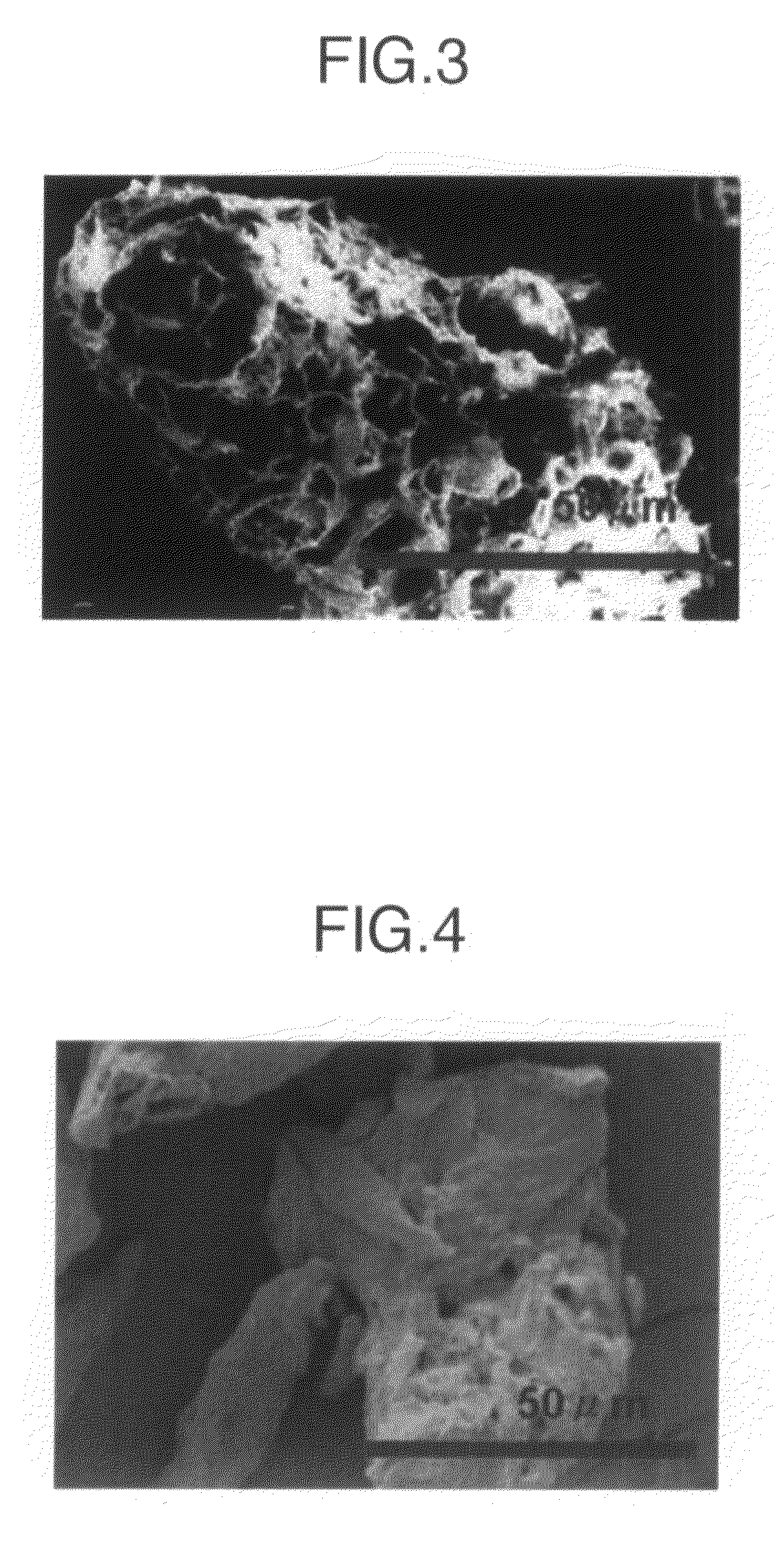 Porous cellulose aggregate and  molding composition thereof