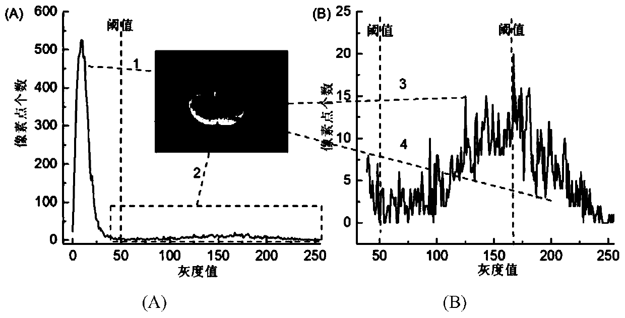 Method for judging rotten blueberries based on low-field nuclear magnetic resonance technology