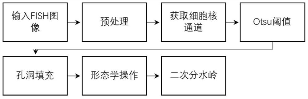 Cancer cell her2 gene amplification analysis method and system