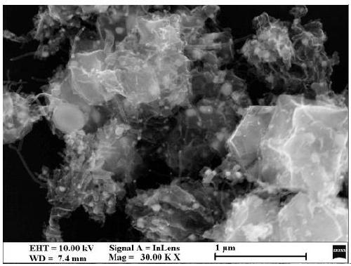 Heteroatom doped cobalt metal catalyst and preparation method thereof