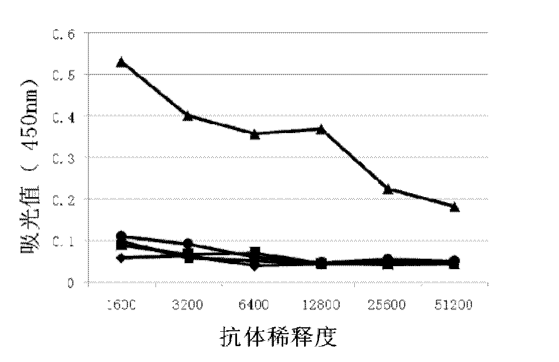 Kit for detecting tubercle bacillus protein antigens, and preparation method thereof