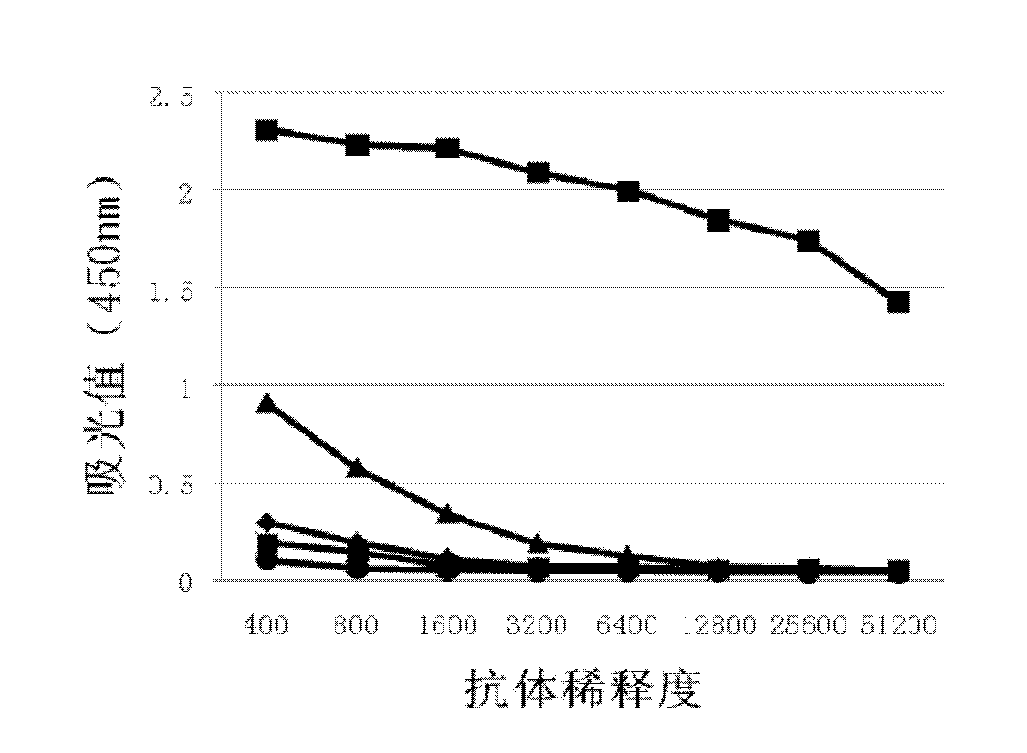 Kit for detecting tubercle bacillus protein antigens, and preparation method thereof