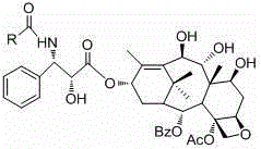 9,10-dihydroxy-1-deoxy-taxol analogue and preparation method thereof