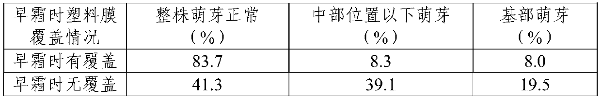 Rapid culture method for horizontal main stem of grape in northern buried culture area