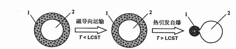 Thermal initiation spontaneous explosion type magnetically targeted micro-capsule and preparation method thereof