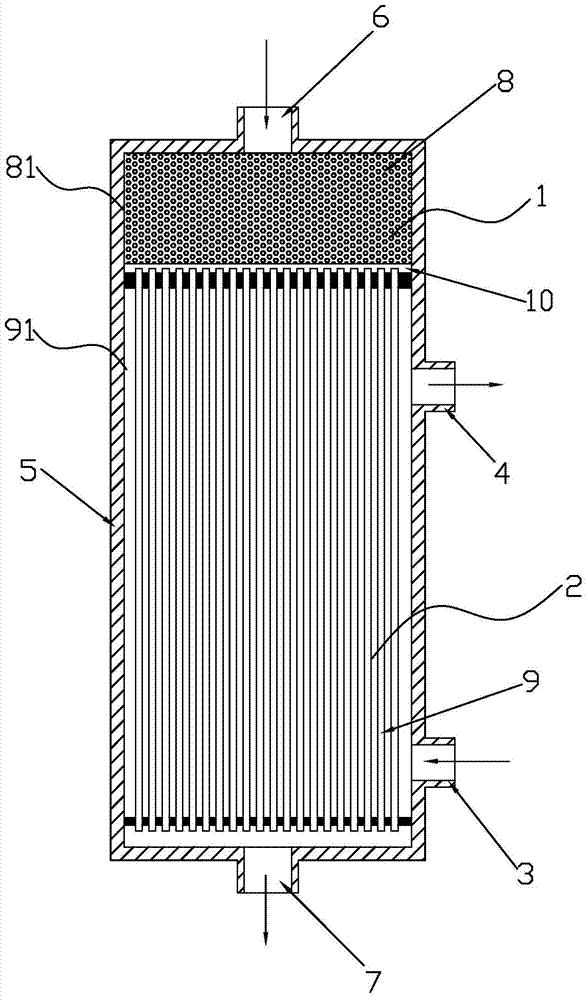 Integrated blood purification device with blood perfusion structure and blood dialysis structure