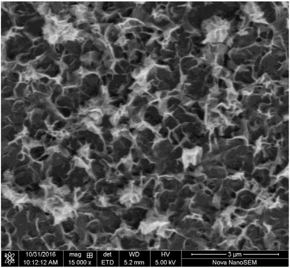 Flexible electrode material and preparation method and application thereof