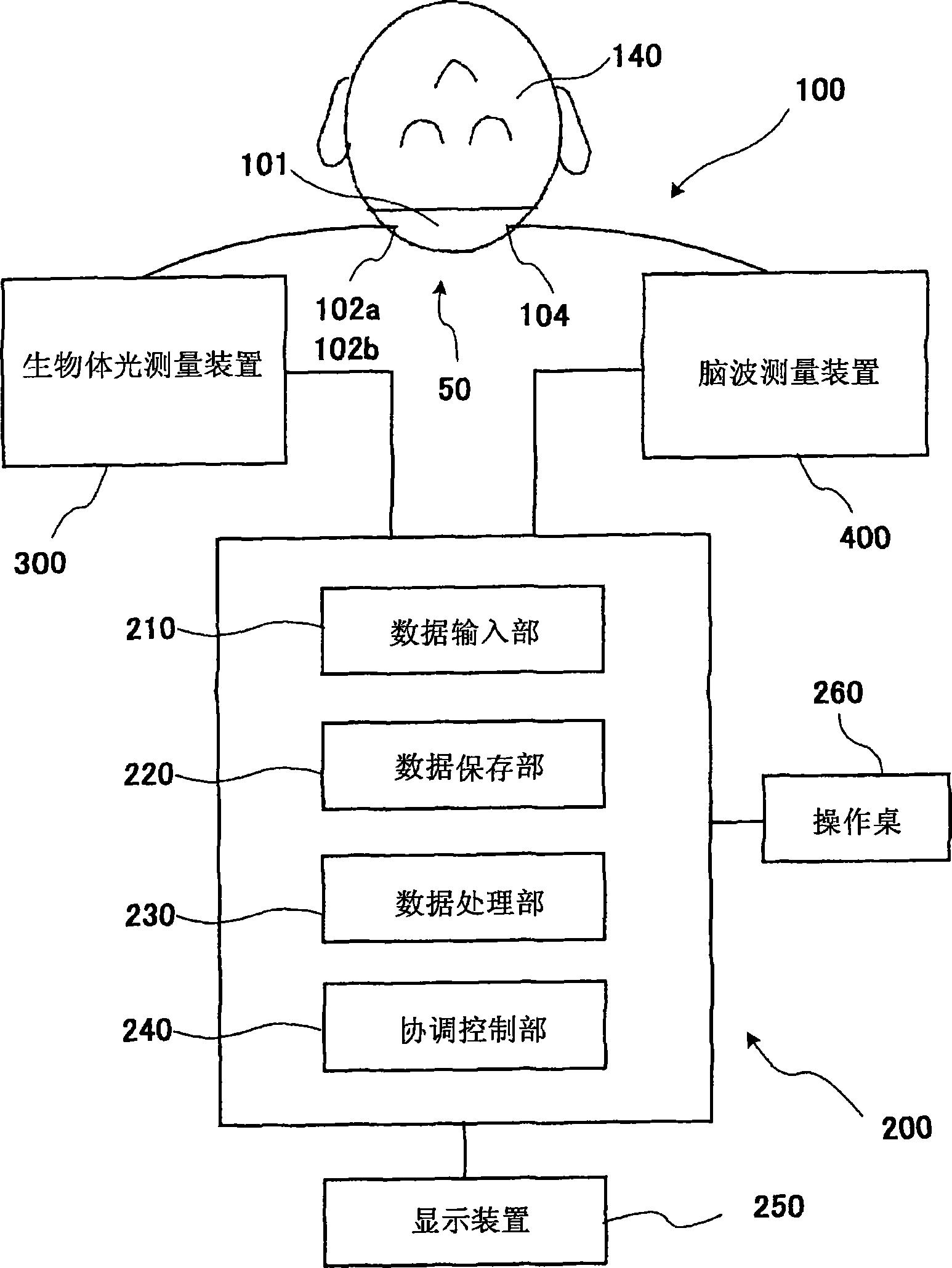 Organism information signal processing system comprising combination of organism light measuring device and brain wave measuring device, and probe used for same