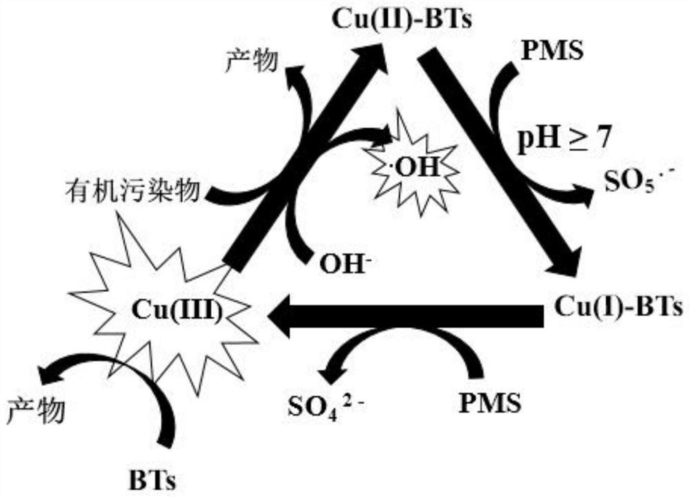 A water treatment method that utilizes background pollutants to promote the formation of cu(iii) from trace copper ions