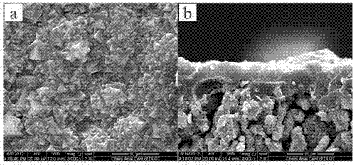 Seed crystal-free self-assembly hydrothermal synthesis method of hydrophilic zeolite membrane